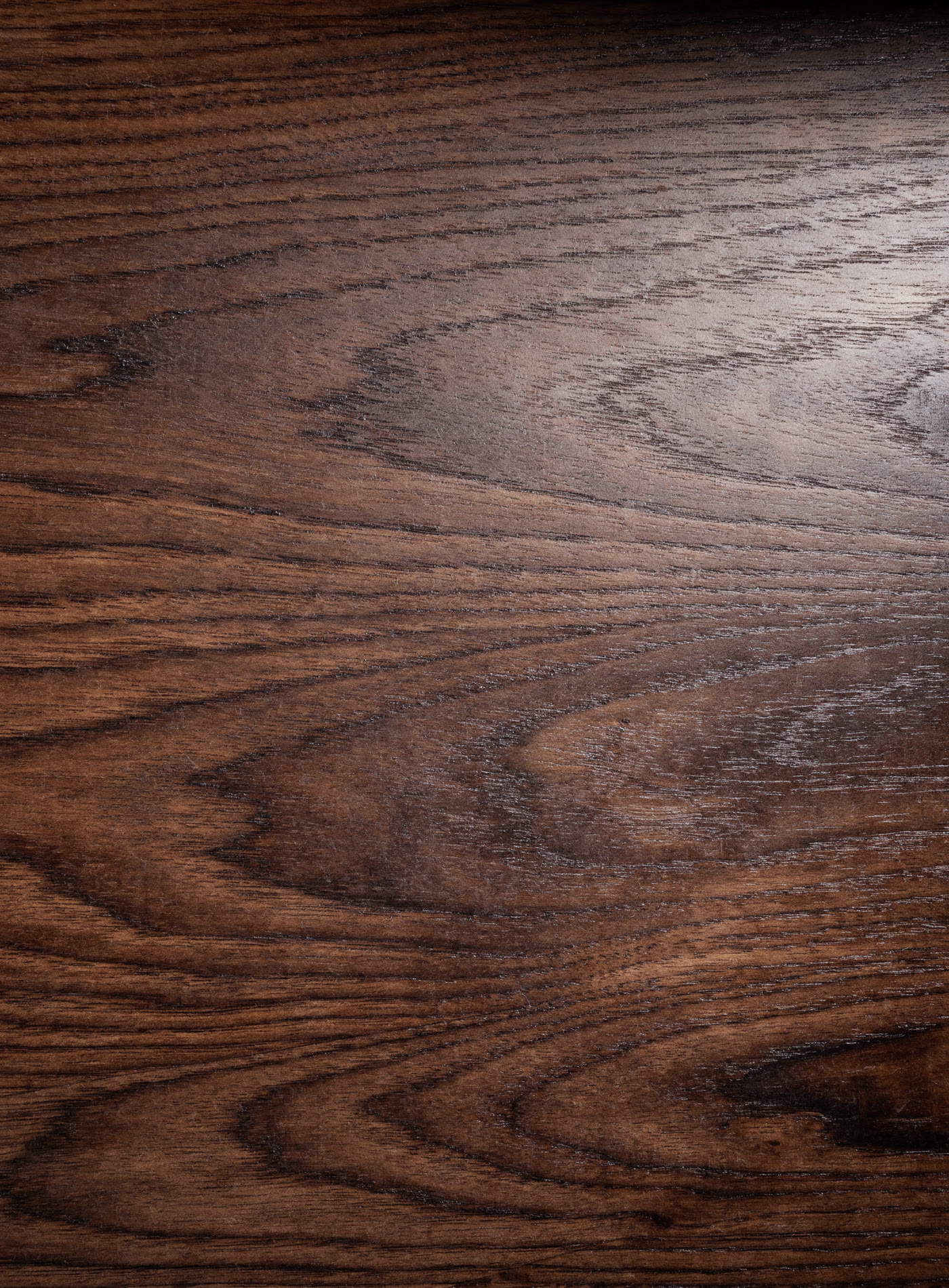 American black walnut